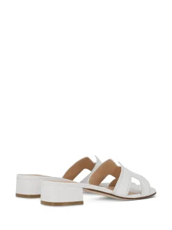 ALBA TECI Slides* white