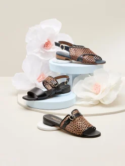 PORTA ROSSA Slides* brown~black