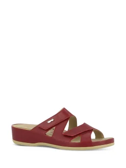 VITAL Slides* red