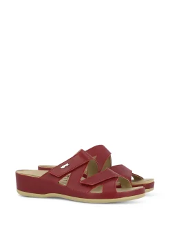 VITAL Slides* red