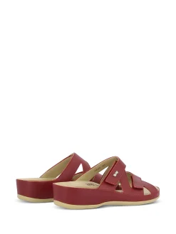 VITAL Slides* red