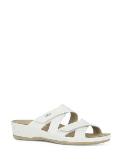 VITAL Slides* white
