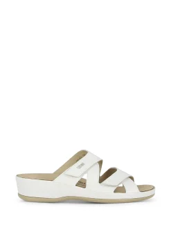 VITAL Slides* white