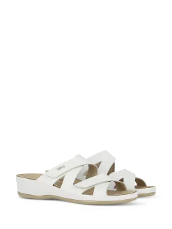VITAL Slides* white