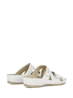 VITAL Slides* white