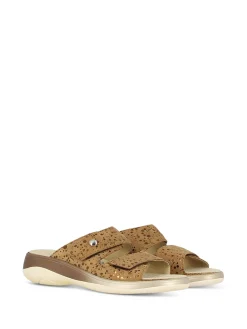 VITAL Slides* bronze